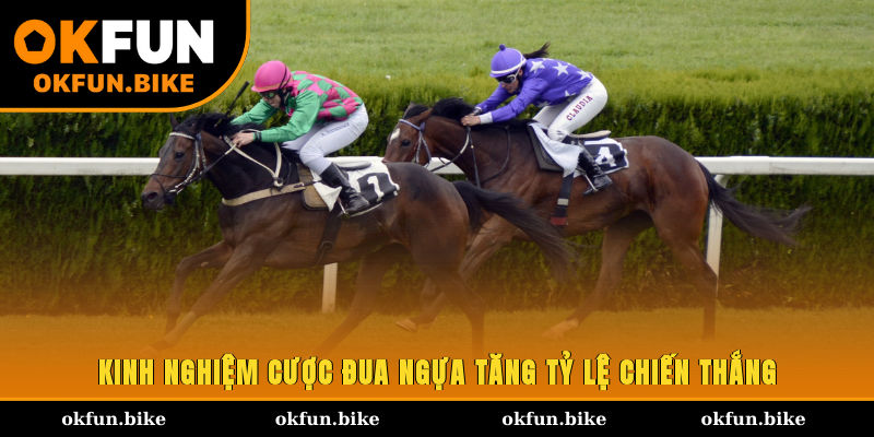 Kinh nghiệm cược đua ngựa tăng tỷ lệ chiến thắng