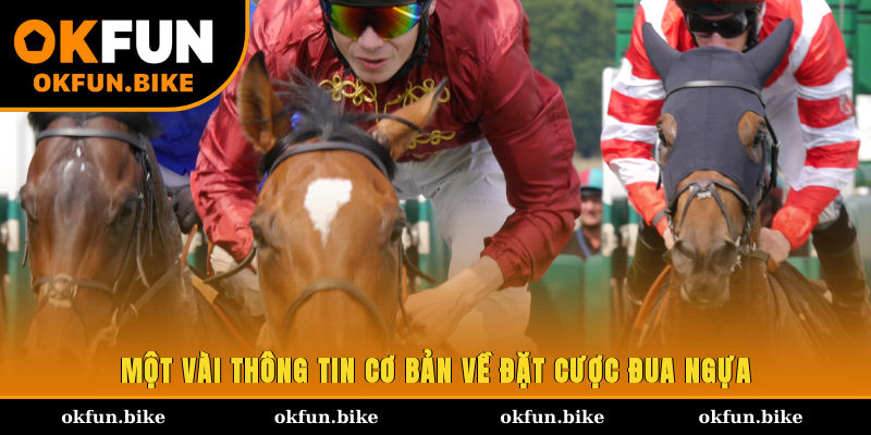 Một vài thông tin cơ bản về đặt cược đua ngựa