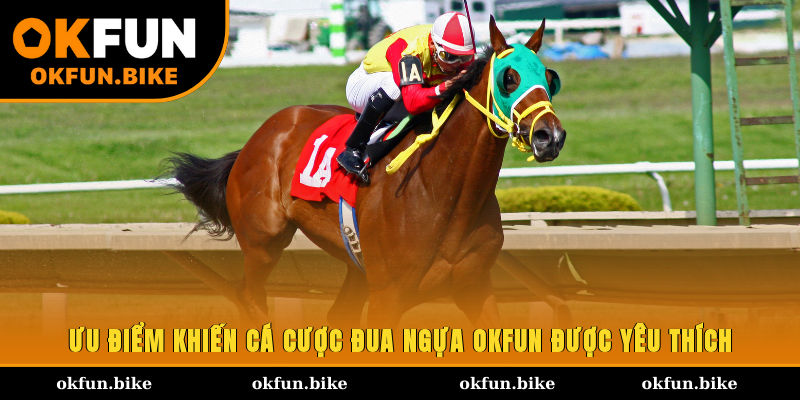 Ưu điểm khiến cá cược đua ngựa OKFUN được yêu thích